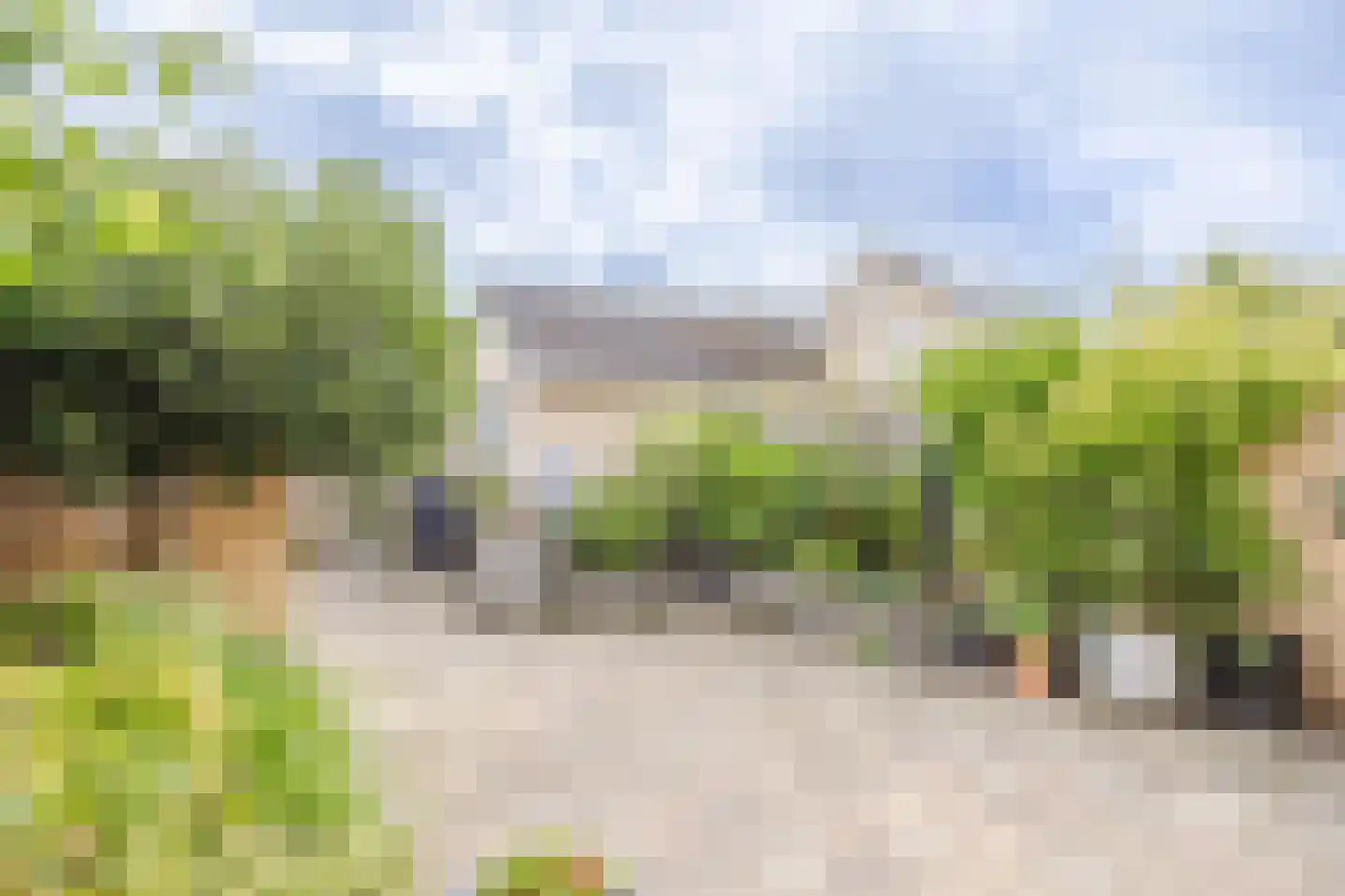 Amaliastein 43 Vianen thumbnail 11
