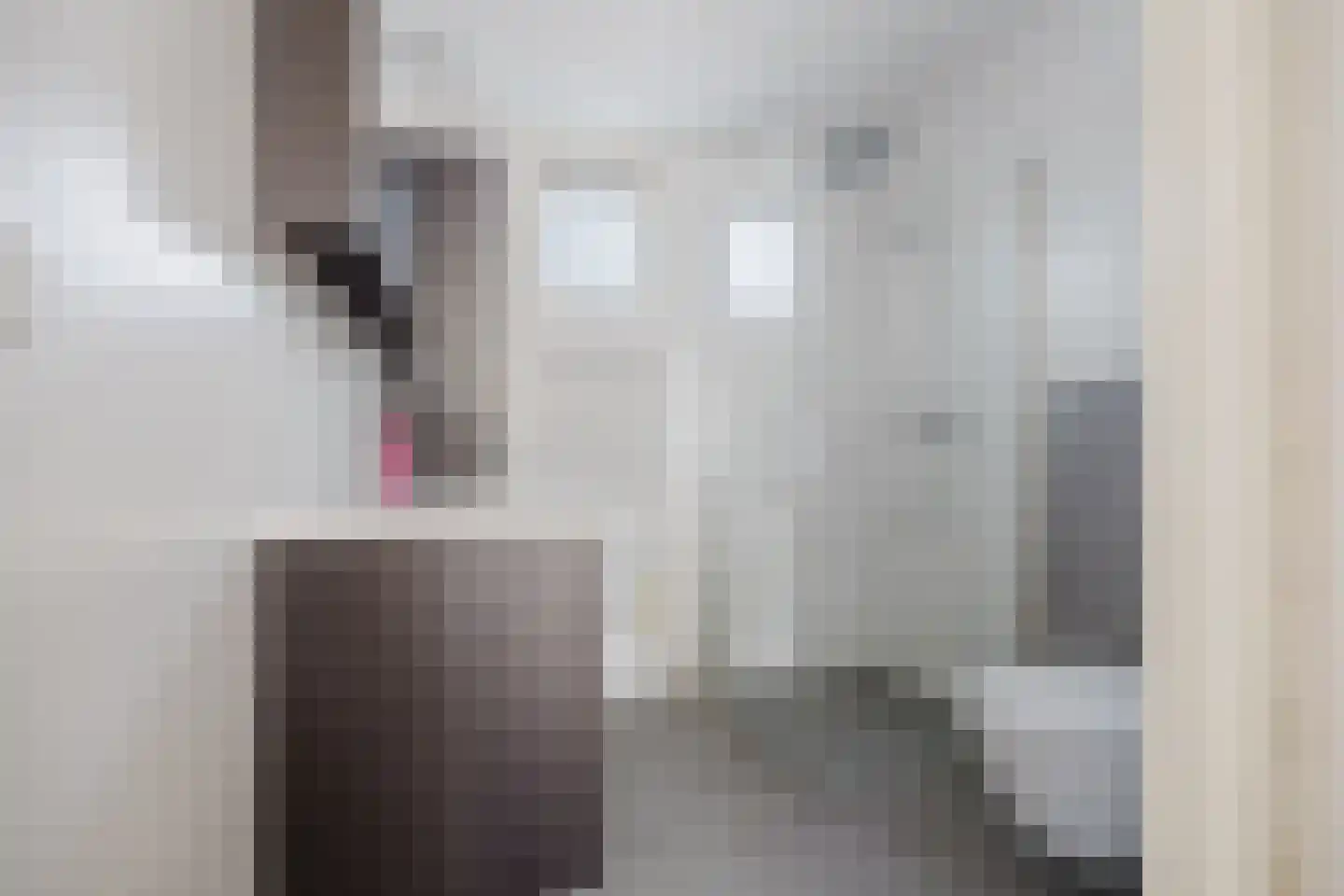 Amaliastein 43 Vianen thumbnail 17