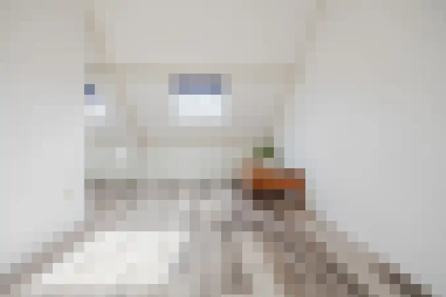 Amaliastein 43 Vianen thumbnail 26