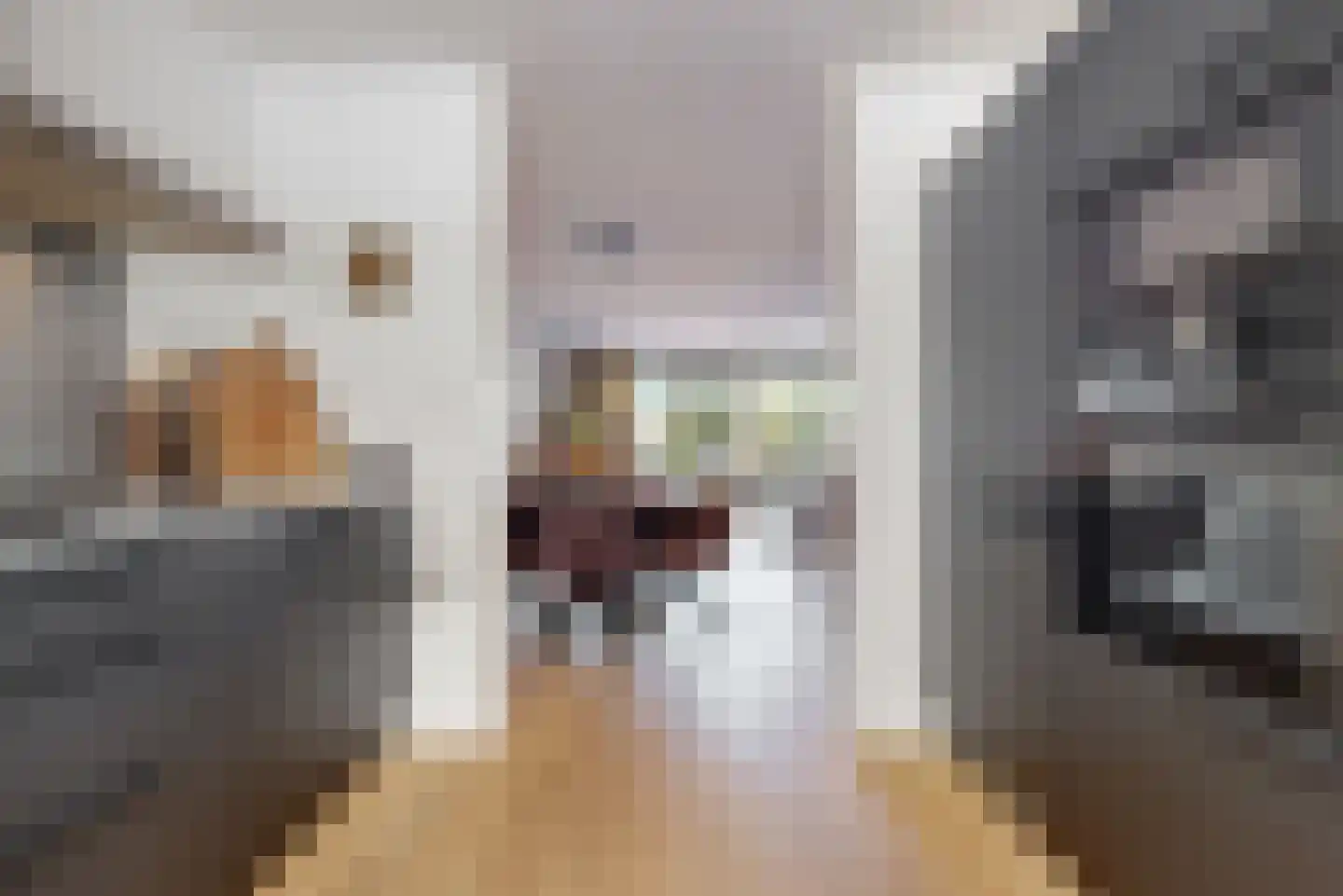 Amaliastein 58 Vianen thumbnail 15