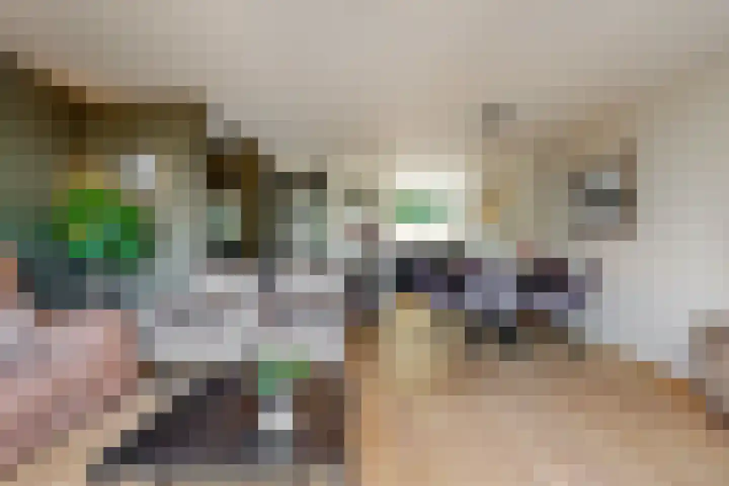 Amaliastein 58 Vianen thumbnail 6