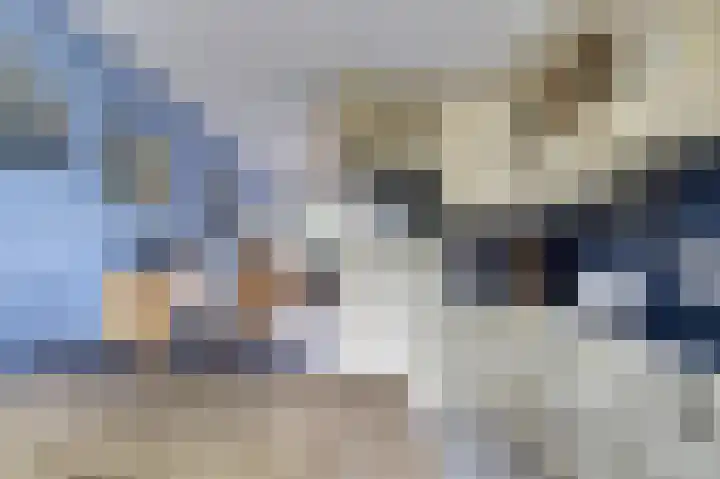 Amaliastein 77 Vianen thumbnail 10
