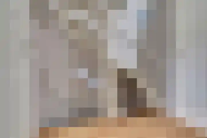 Amaliastein 77 Vianen thumbnail 12