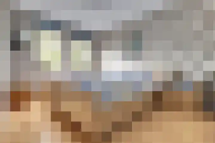 Amaliastein 77 Vianen thumbnail 13