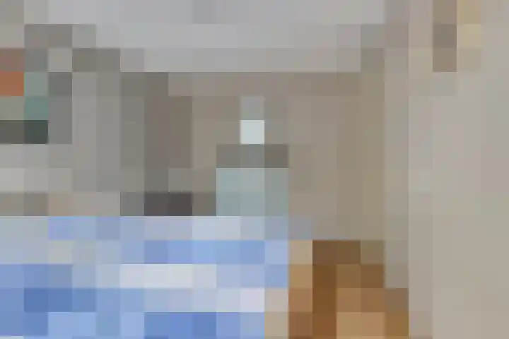 Amaliastein 77 Vianen thumbnail 14