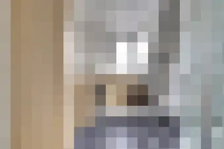 Amaliastein 77 Vianen thumbnail 18