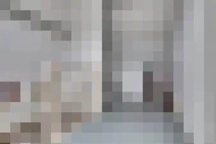 Amaliastein 77 Vianen thumbnail 21