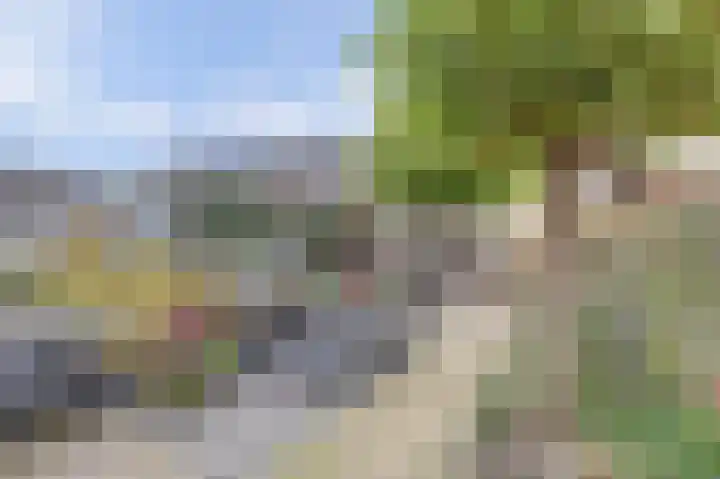 Amaliastein 77 Vianen thumbnail 25