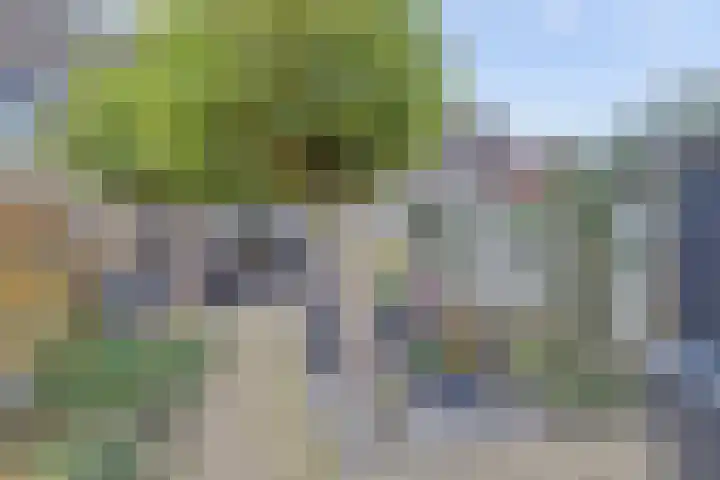 Amaliastein 77 Vianen thumbnail 27