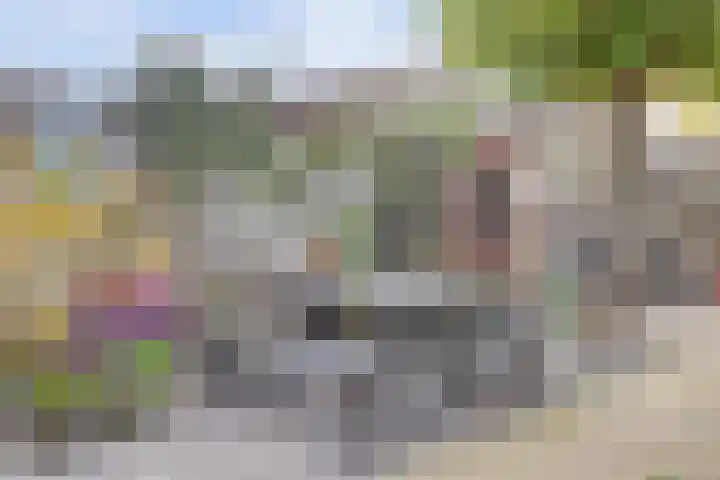Amaliastein 77 Vianen thumbnail 28