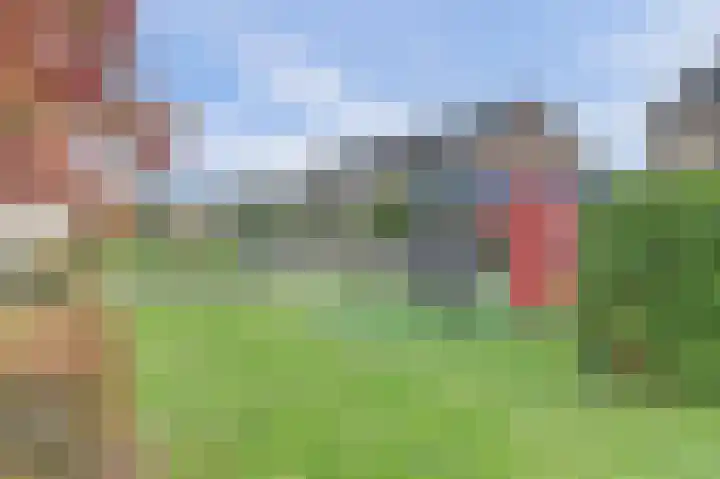 Amaliastein 77 Vianen thumbnail 30