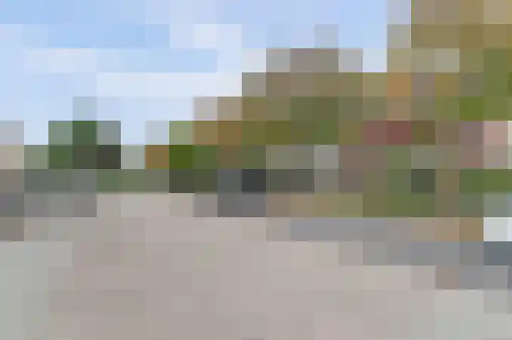 Amaliastein 77 Vianen thumbnail 31