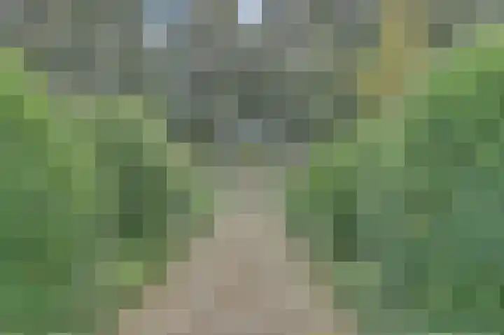Amaliastein 77 Vianen thumbnail 32
