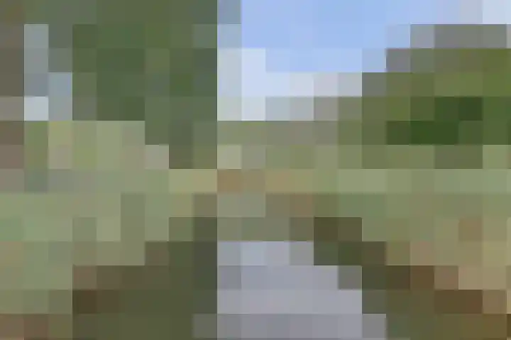 Amaliastein 77 Vianen thumbnail 33