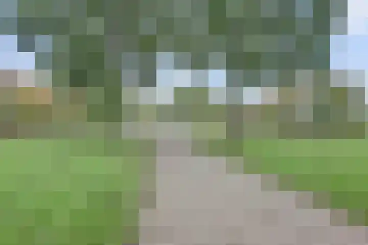 Amaliastein 77 Vianen thumbnail 34