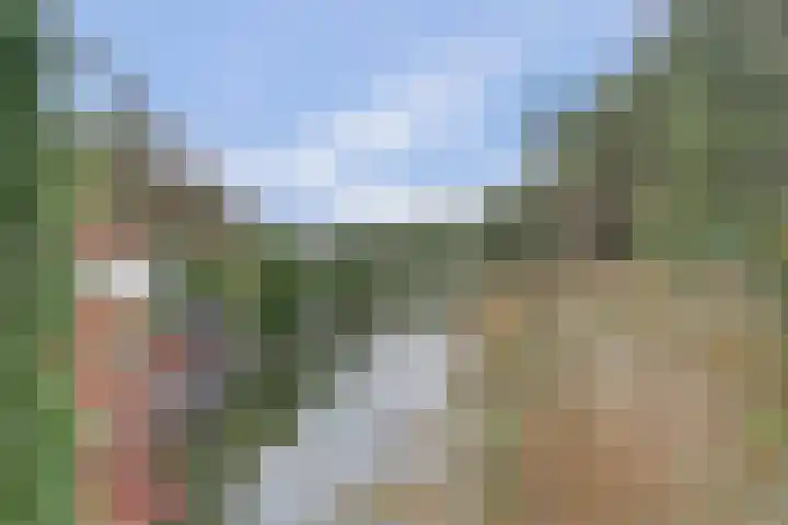 Amaliastein 77 Vianen thumbnail 35