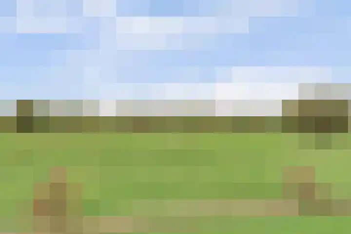 Amaliastein 77 Vianen thumbnail 37