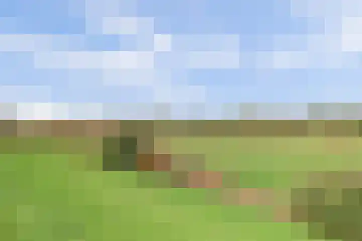Amaliastein 77 Vianen thumbnail 38