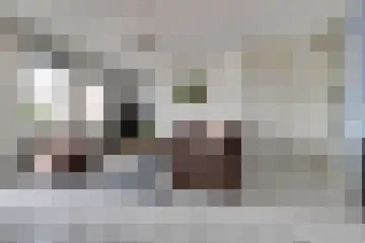 Amaliastein 77 Vianen thumbnail 4