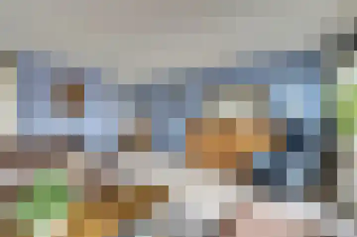 Amaliastein 77 Vianen thumbnail 6