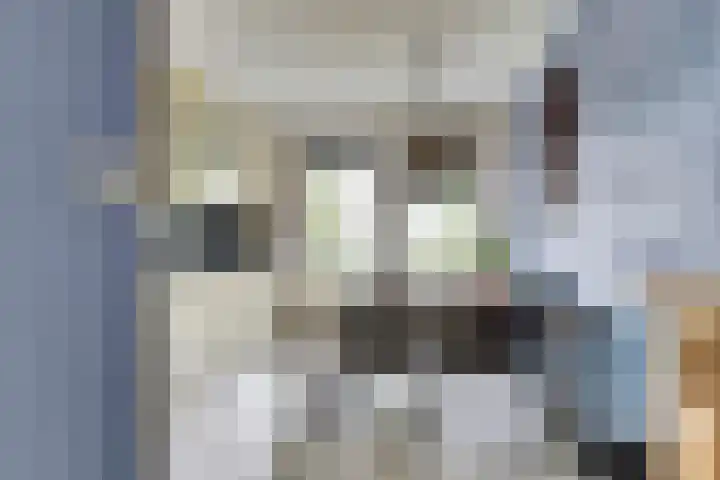Amaliastein 77 Vianen thumbnail 7