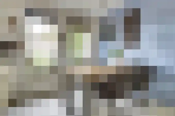 Amaliastein 77 Vianen thumbnail 8