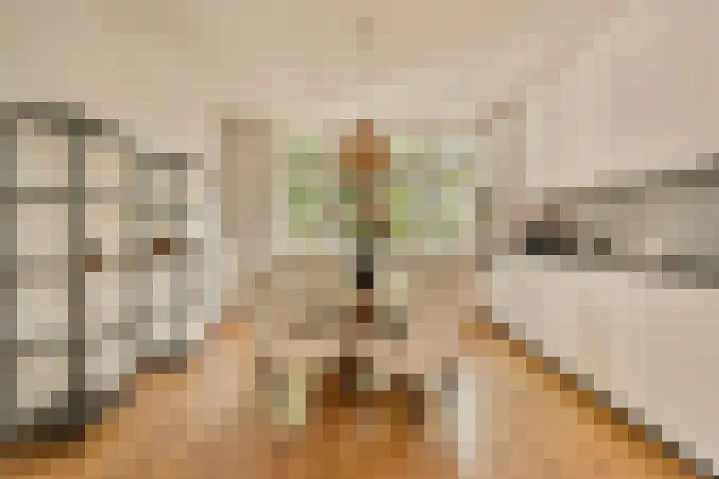 Amaliastraat 12 3 Amsterdam thumbnail 10
