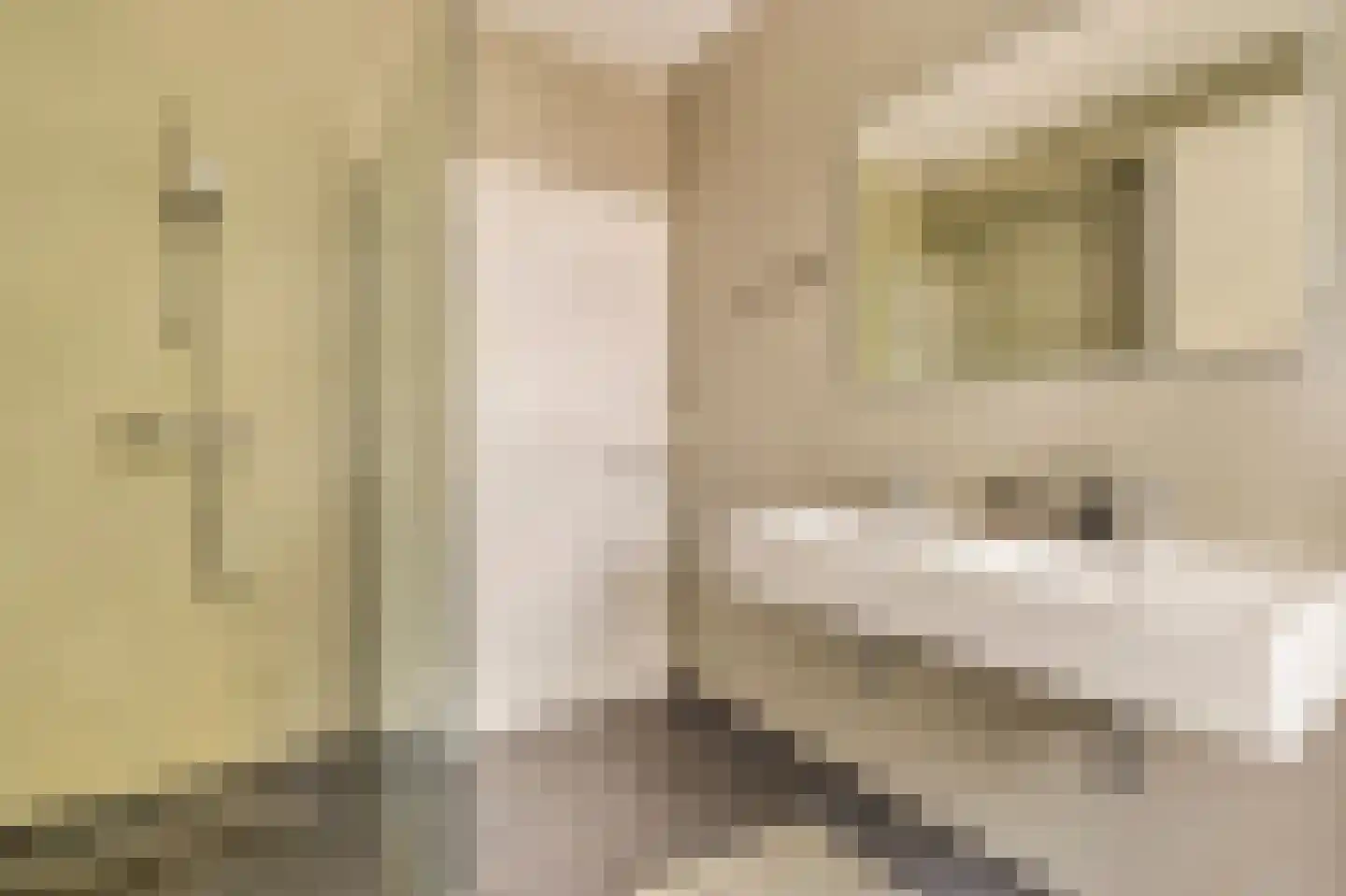 Amaliastraat 12 3 Amsterdam thumbnail 20