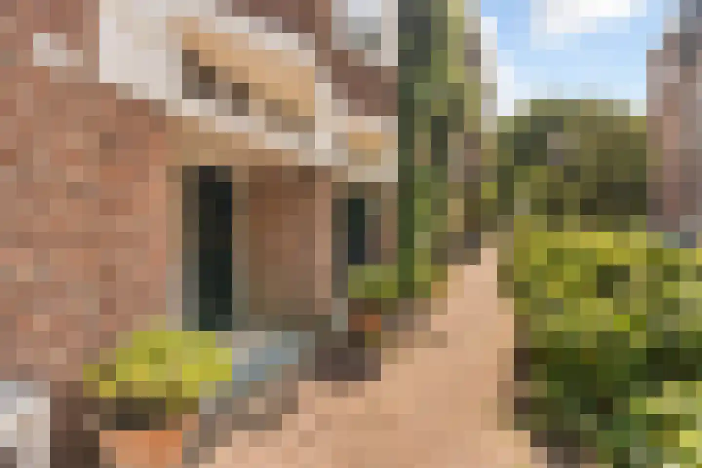 Amaliastraat 12 3 Amsterdam thumbnail 32