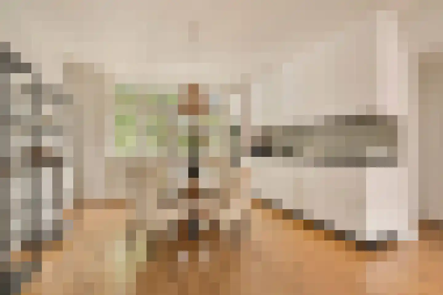 Amaliastraat 12 3 Amsterdam thumbnail 4