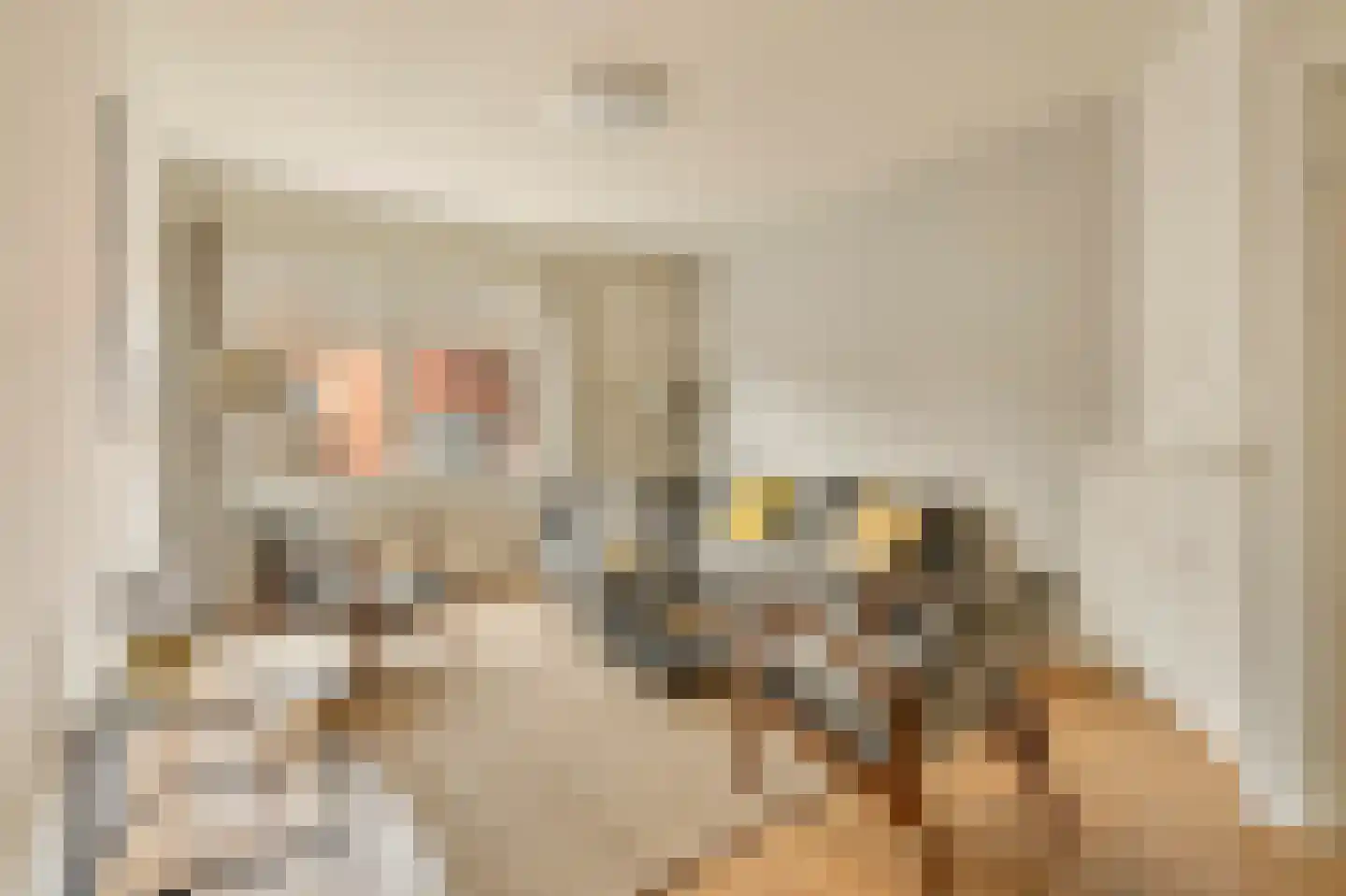 Amaliastraat 12 3 Amsterdam thumbnail 5