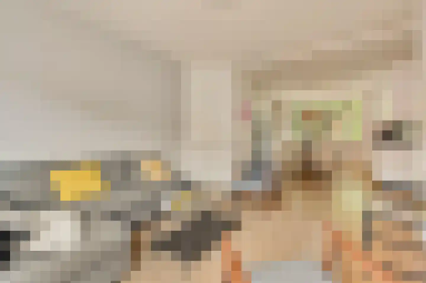 Amaliastraat 12 3 Amsterdam thumbnail 8