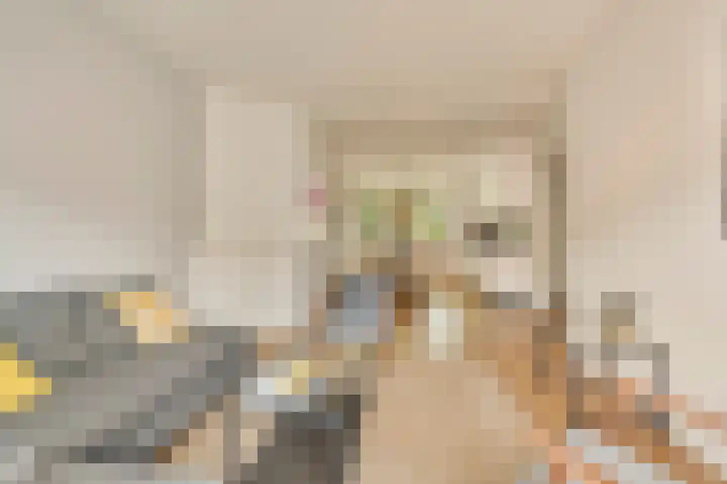 Amaliastraat 12 3 Amsterdam thumbnail 9