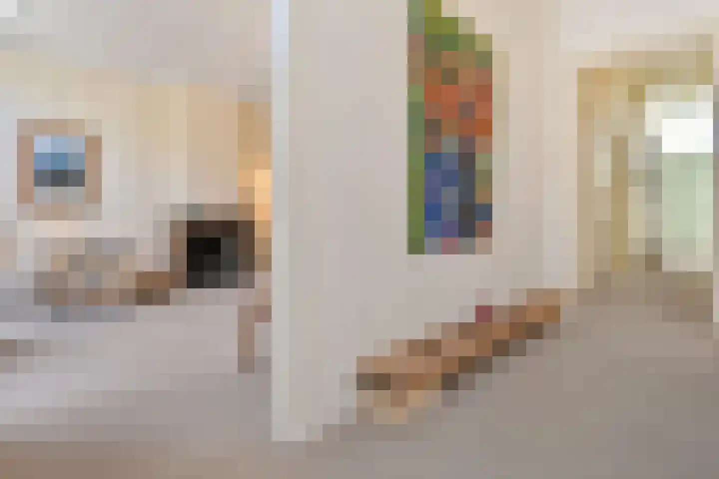 Amaliastraat 12 A Den Haag thumbnail 33