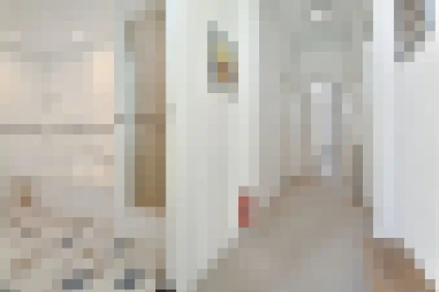 Amaliastraat 12 A Den Haag thumbnail 49