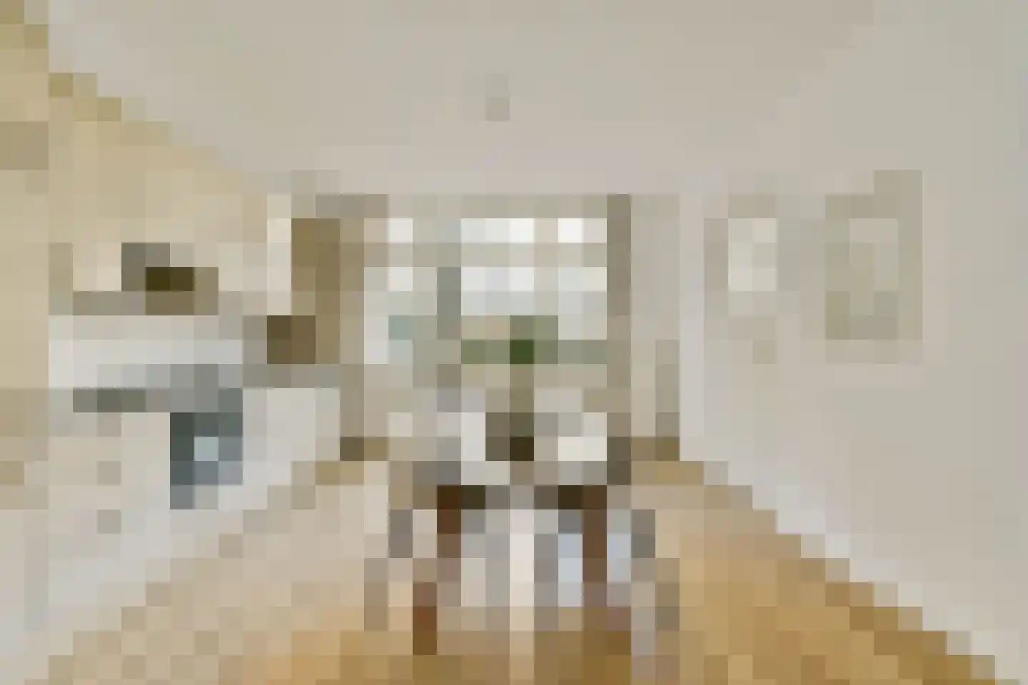 Amaliastraat 12 H Amsterdam thumbnail 10