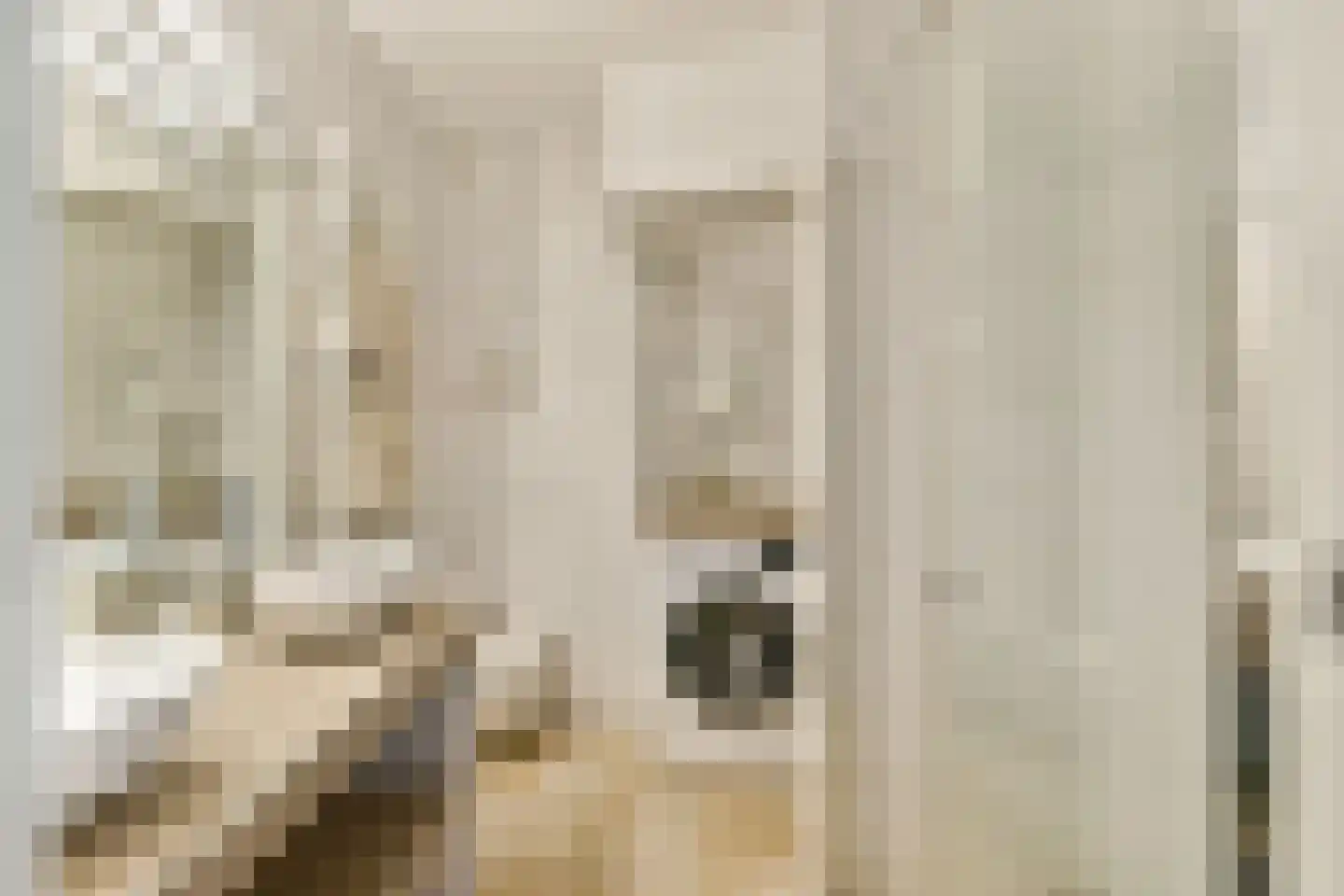 Amaliastraat 12 H Amsterdam thumbnail 22