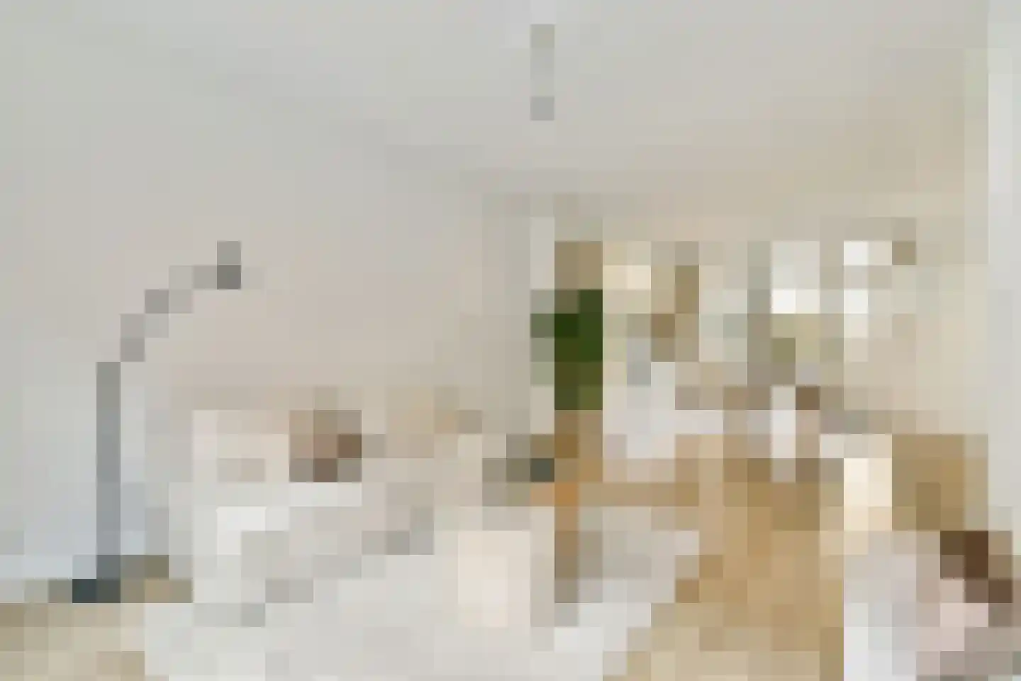 Amaliastraat 12 H Amsterdam thumbnail 9