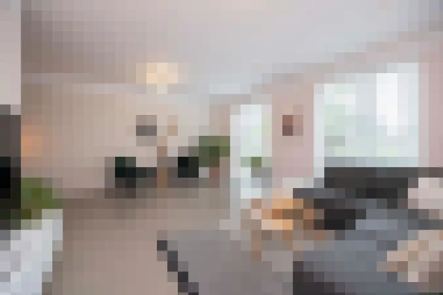 Amaliastraat 12 St. Willebrord thumbnail 13