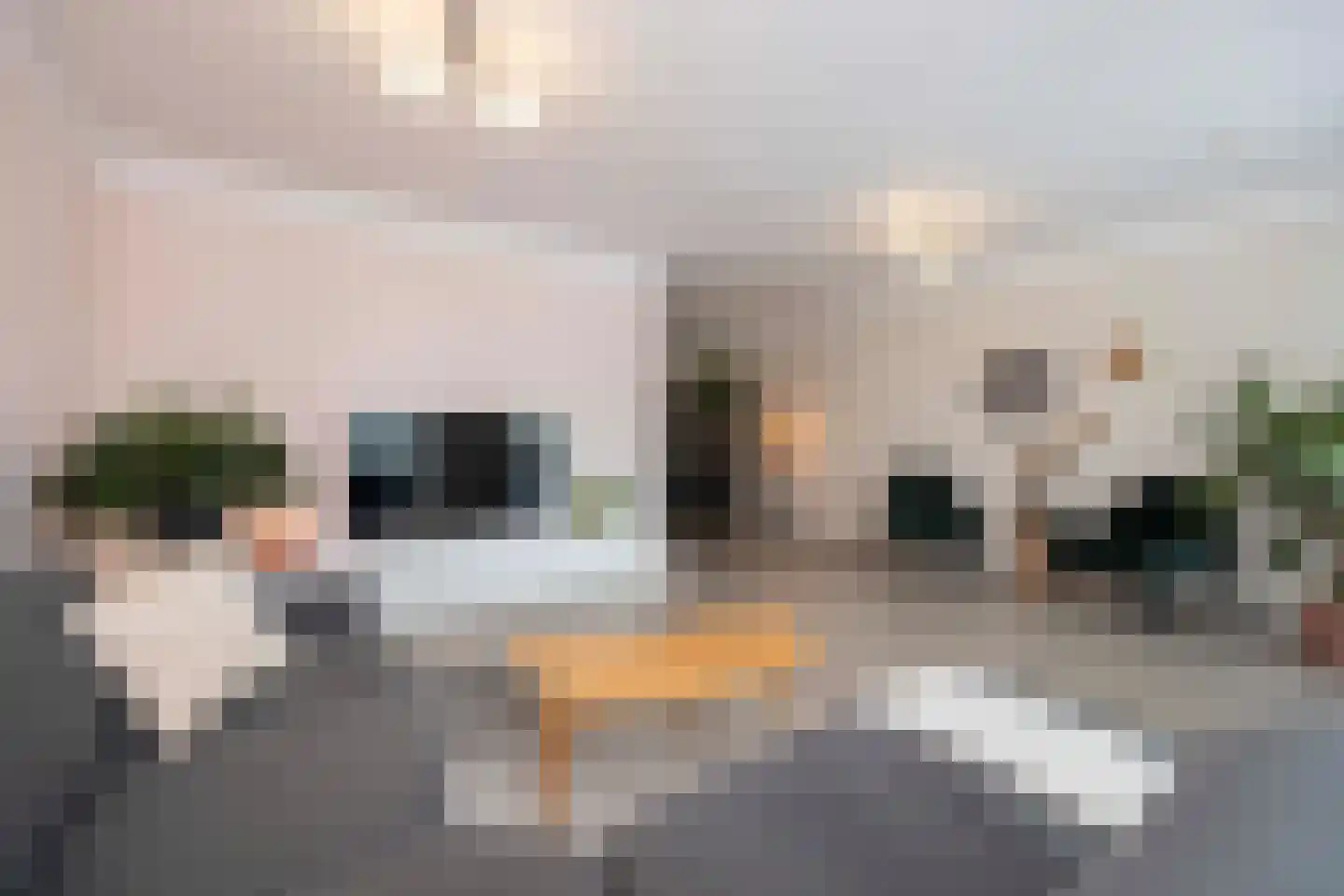 Amaliastraat 12 St. Willebrord thumbnail 14