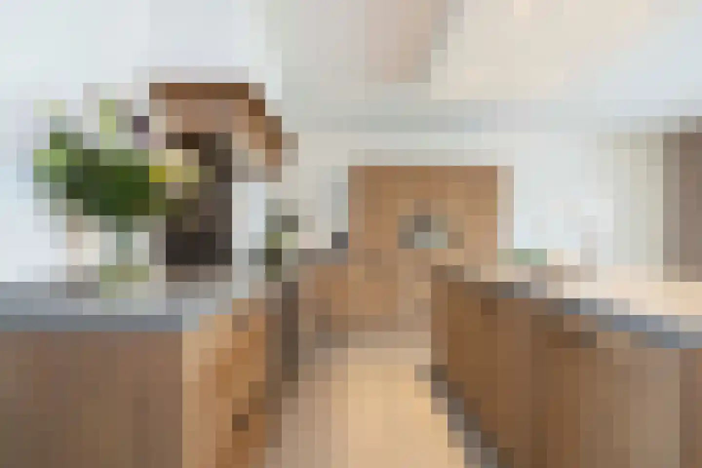 Amaliastraat 12 St. Willebrord thumbnail 18