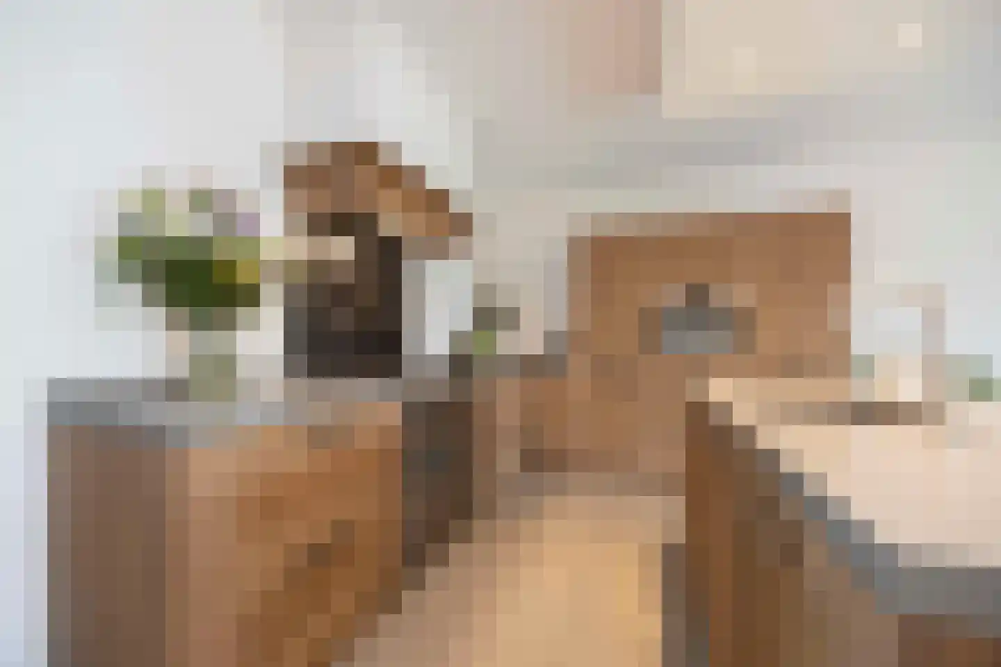 Amaliastraat 12 St. Willebrord thumbnail 20