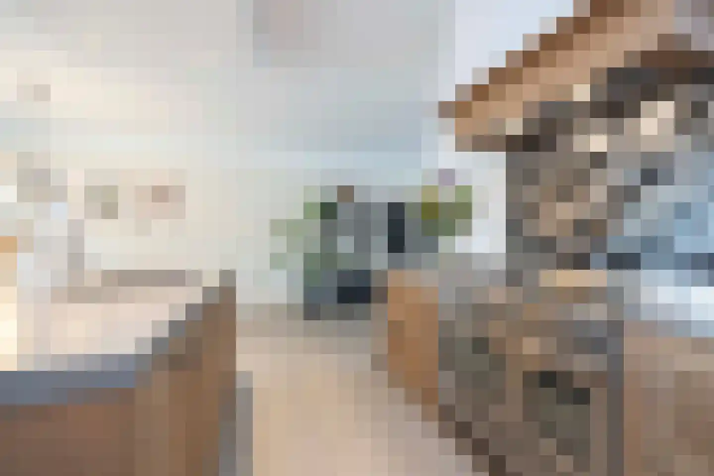 Amaliastraat 12 St. Willebrord thumbnail 21