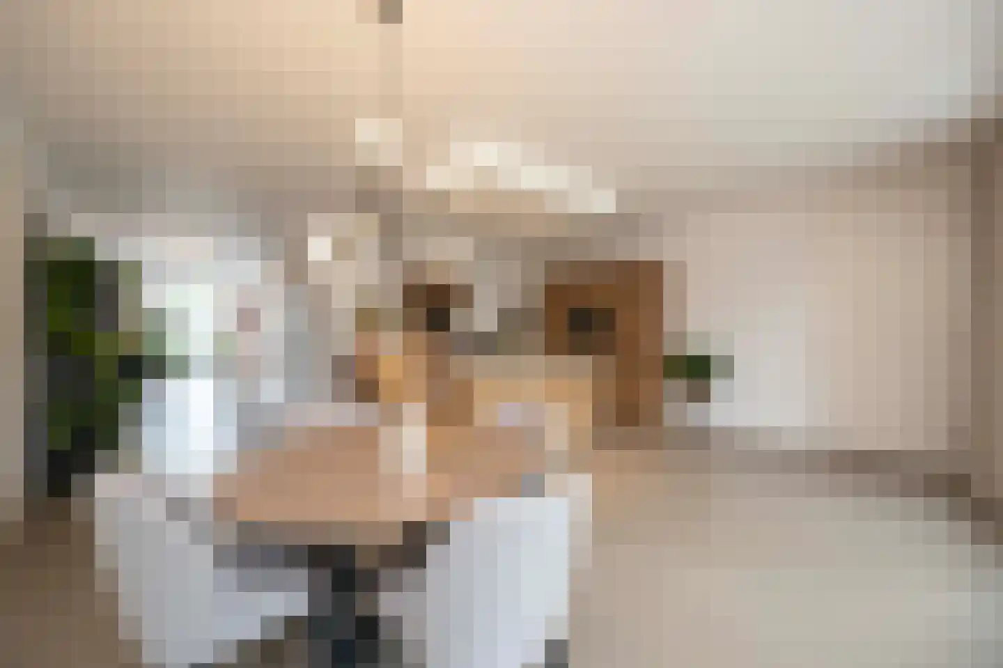 Amaliastraat 12 St. Willebrord thumbnail 24