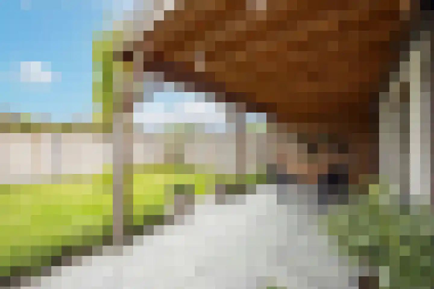 Amaliastraat 12 St. Willebrord thumbnail 45