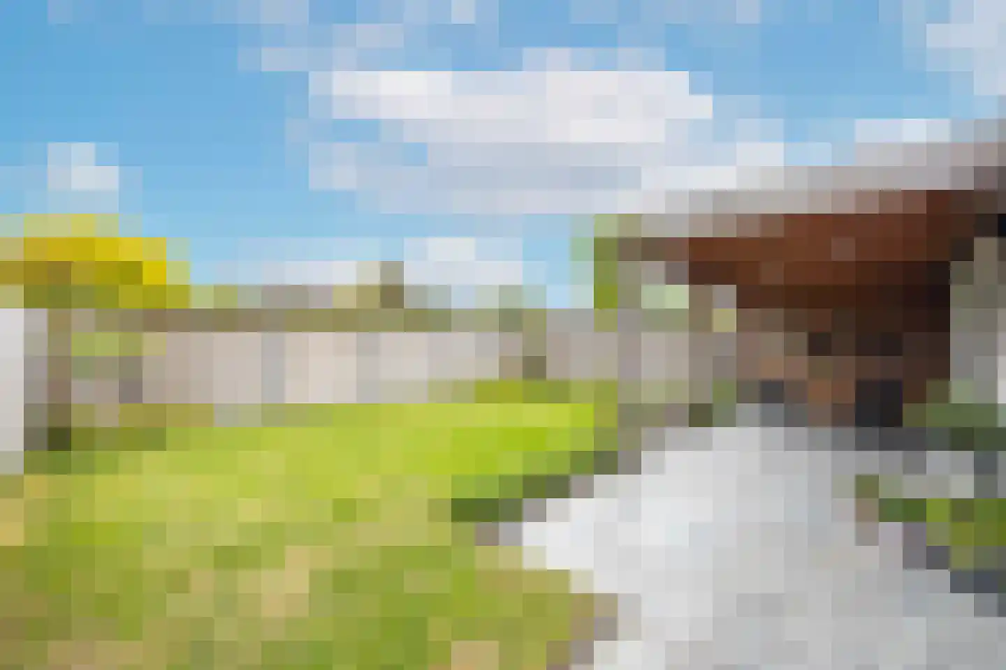 Amaliastraat 12 St. Willebrord thumbnail 46