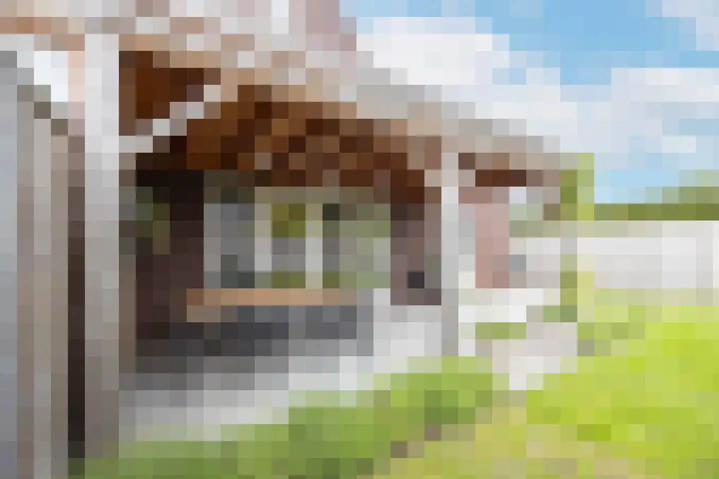 Amaliastraat 12 St. Willebrord thumbnail 48