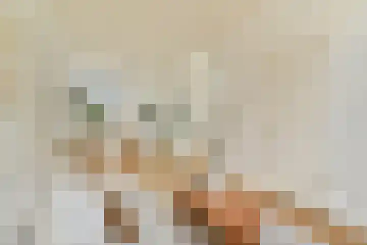 Amaliastraat 14 Utrecht thumbnail 10
