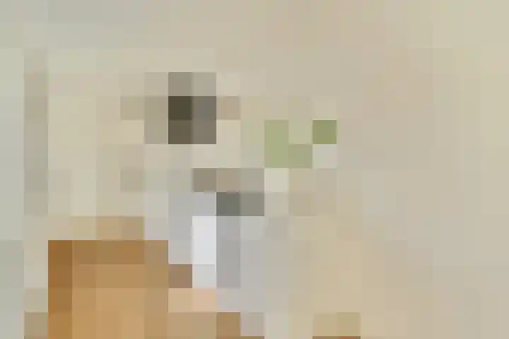 Amaliastraat 14 Utrecht thumbnail 13