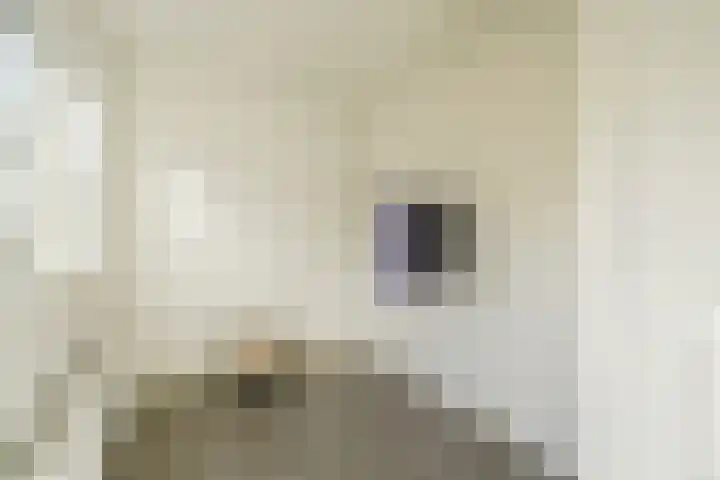 Amaliastraat 14 Utrecht thumbnail 17